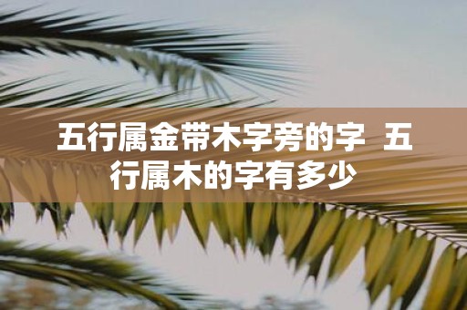 五行属金带木字旁的字 五行属木的字有多少