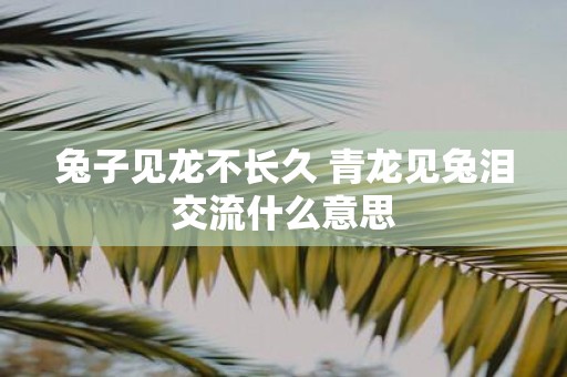 兔子见龙不长久 青龙见兔泪交流什么意思