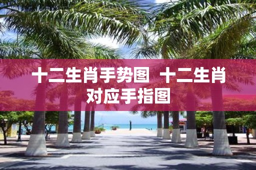 十二生肖手势图 十二生肖对应手指图