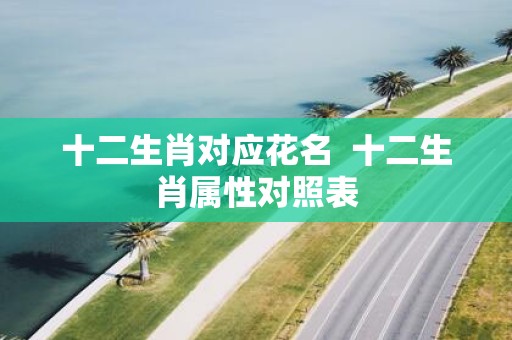 十二生肖对应花名 十二生肖属性对照表