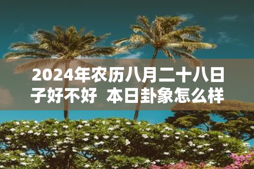2025年农历八月二十八日子好不好 本日卦象怎么样