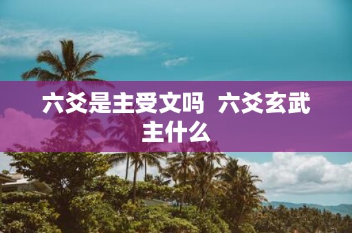 六爻是主受文吗 六爻玄武主什么