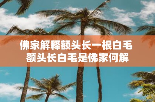 佛家解释额头长一根白毛 额头长白毛是佛家何解