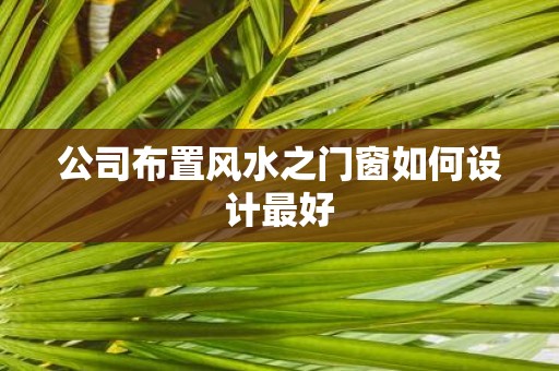 公司布置风水之门窗如何设计最好