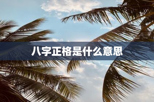 八字正格是什么意思