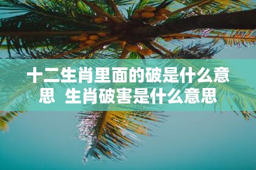 十二生肖里面的破是什么意思 生肖破害是什么意思