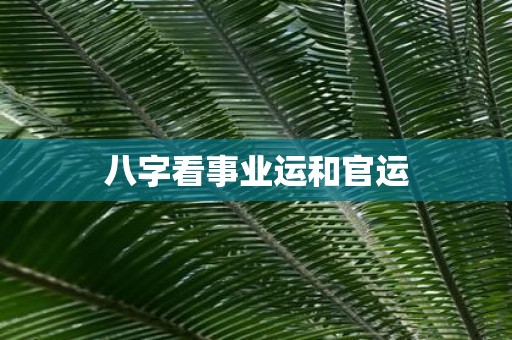 八字看事业运和官运