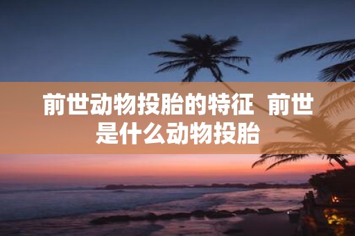 前世动物投胎的特征 前世是什么动物投胎