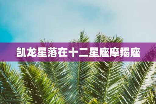 凯龙星落在十二星座摩羯座