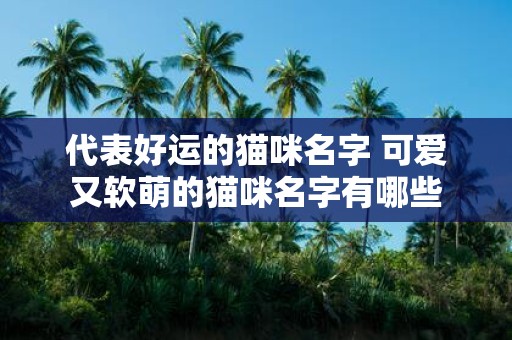 代表好运的猫咪名字 可爱又软萌的猫咪名字有哪些