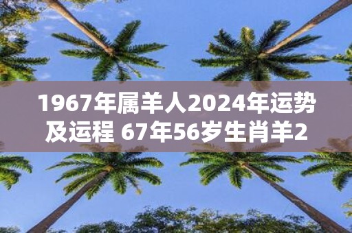 1967年属羊人2025年运势及运程 67年56岁生肖羊2025年每月运势