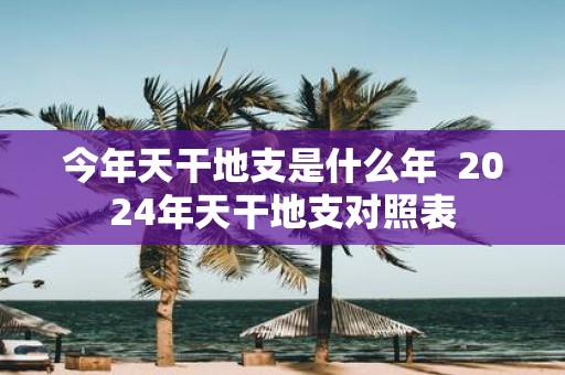今年天干地支是什么年 2025年天干地支对照表