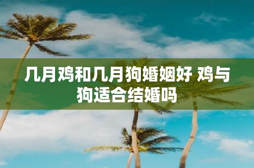 几月鸡和几月狗婚姻好 鸡与狗适合结婚吗