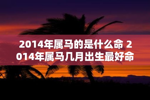 2014年属马的是什么命 2014年属马几月出生最好命