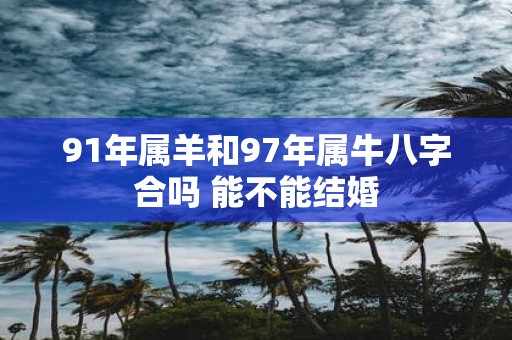 91年属羊和97年属牛八字合吗 能不能结婚