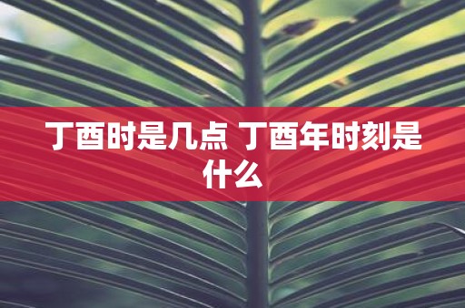 丁酉时是几点 丁酉年时刻是什么
