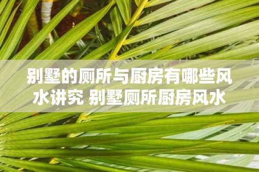 别墅的厕所与厨房有哪些风水讲究 别墅厕所厨房风水讲究