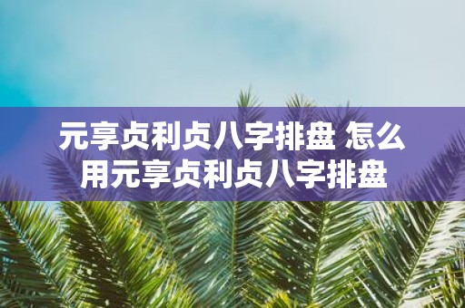 元享贞利贞八字排盘 怎么用元享贞利贞八字排盘
