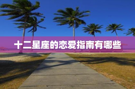 十二星座的恋爱指南有哪些