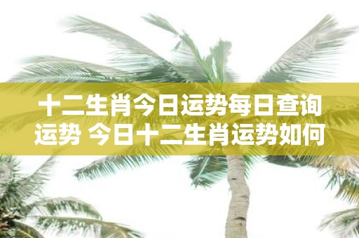 十二生肖今日运势每日查询运势 今日十二生肖运势如何