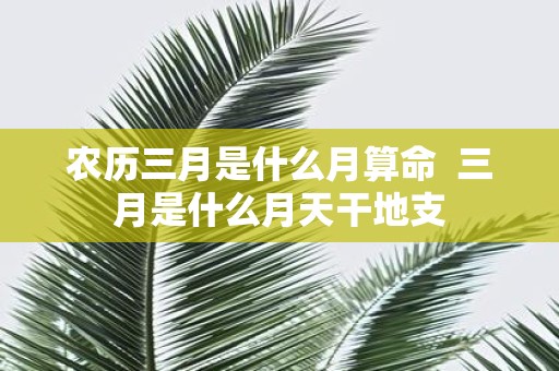 农历三月是什么月算命 三月是什么月天干地支