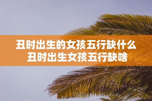 丑时出生的女孩五行缺什么 丑时出生女孩五行缺啥