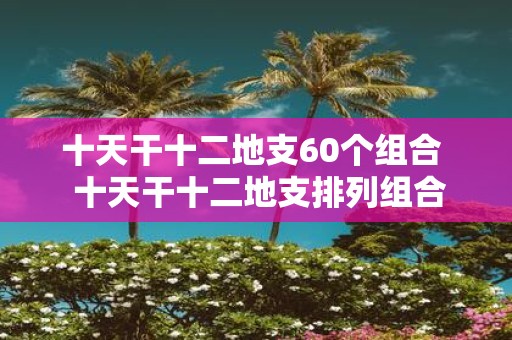 十天干十二地支60个组合 十天干十二地支排列组合