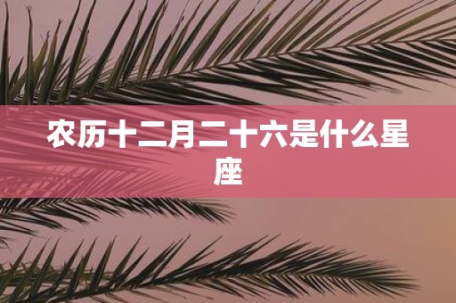 农历十二月二十六是什么星座