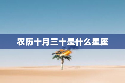 农历十月三十是什么星座