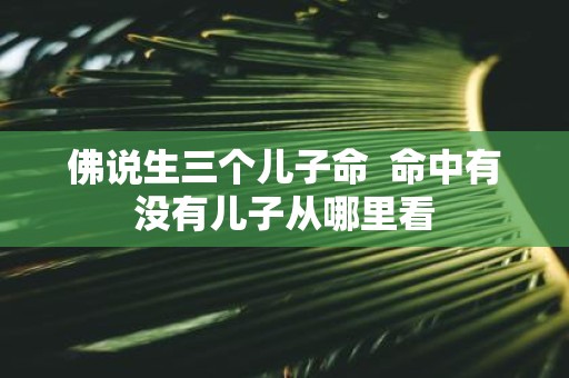 佛说生三个儿子命 命中有没有儿子从哪里看