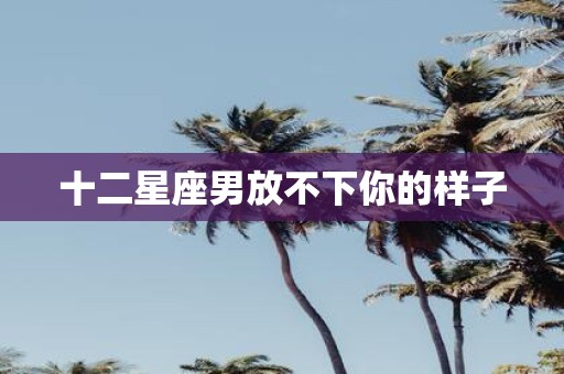 十二星座男放不下你的样子