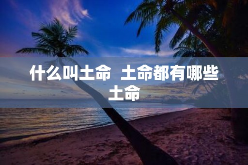 什么叫土命 土命都有哪些土命