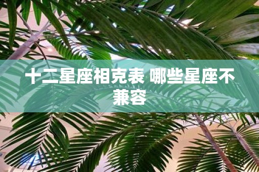 十二星座相克表 哪些星座不兼容