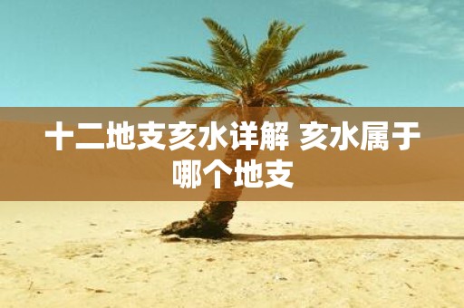 十二地支亥水详解 亥水属于哪个地支
