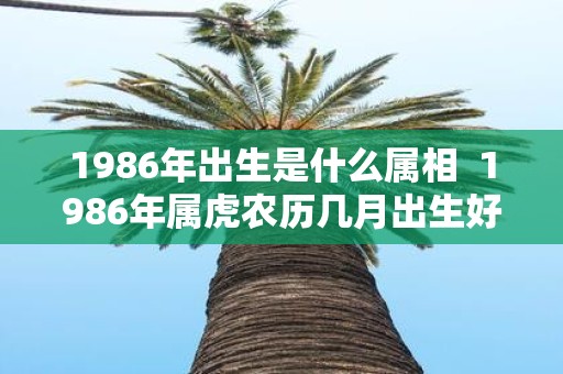 1986年出生是什么属相 1986年属虎农历几月出生好