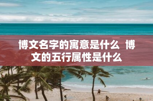 博文名字的寓意是什么 博文的五行属性是什么