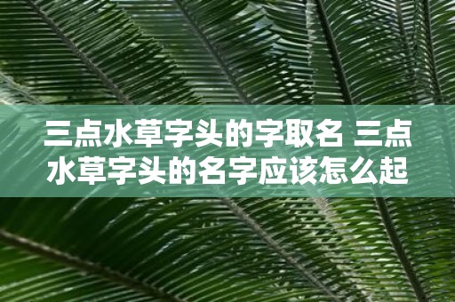 三点水草字头的字取名 三点水草字头的名字应该怎么起