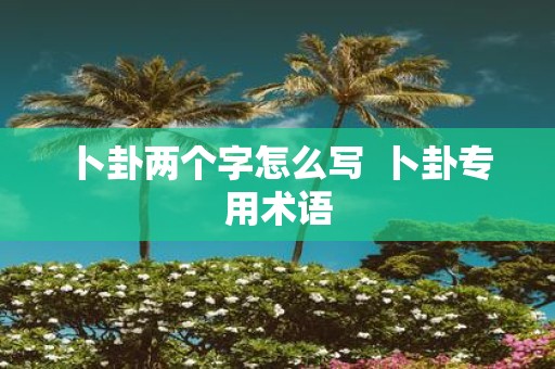 卜卦两个字怎么写 卜卦专用术语