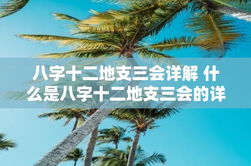 八字十二地支三会详解 什么是八字十二地支三会的详解
