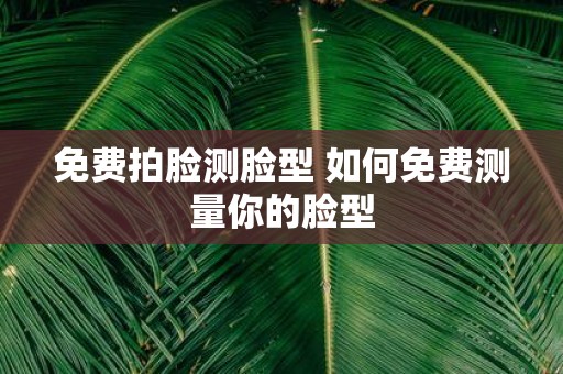 免费拍脸测脸型 如何免费测量你的脸型