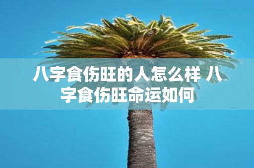 八字食伤旺的人怎么样 八字食伤旺命运如何