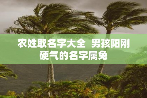 农姓取名字大全 男孩阳刚硬气的名字属兔