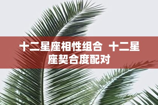 十二星座相性组合 十二星座契合度配对