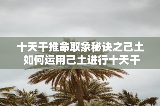 十天干推命取象秘诀之己土 如何运用己土进行十天干推命