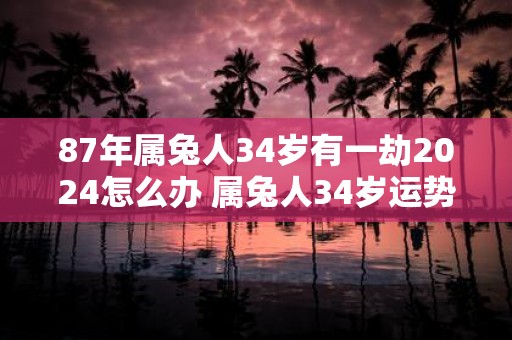 87年属兔人34岁有一劫2025怎么办 属兔人34岁运势