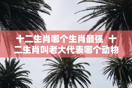 十二生肖哪个生肖最强 十二生肖叫老大代表哪个动物