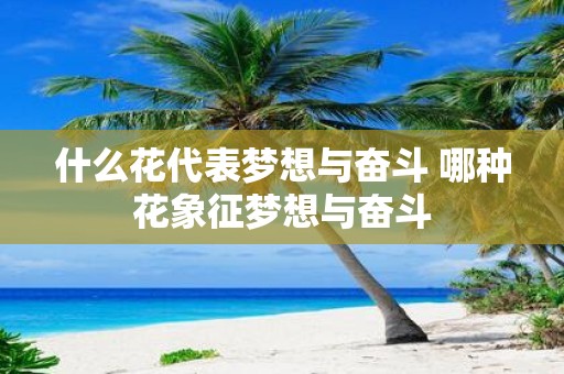 什么花代表梦想与奋斗 哪种花象征梦想与奋斗