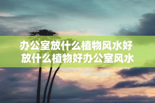 办公室放什么植物风水好 放什么植物好办公室风水