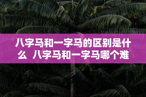 八字马和一字马的区别是什么 八字马和一字马哪个难