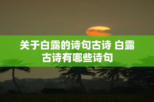 关于白露的诗句古诗 白露古诗有哪些诗句